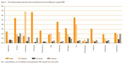 aandeel niet-westerse allochtonen 2005